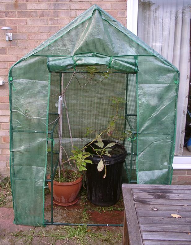 Compact Walk-In Greenhouse